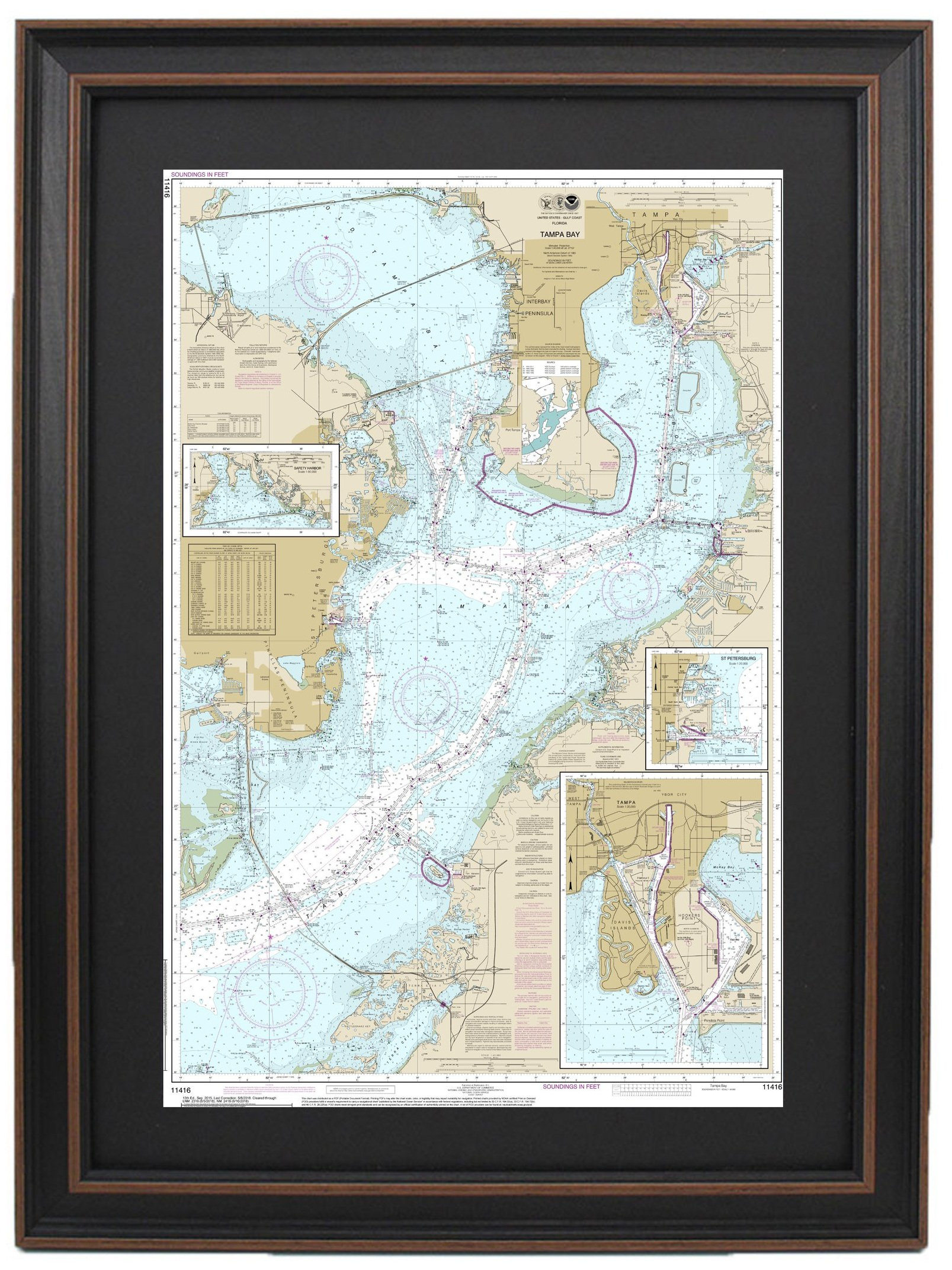 Longshore Tides Tampa Bay Nautical Chart Framed Print Wayfair